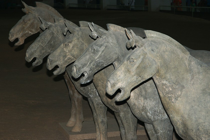 Army of Terracotta Warriors. Horses. near Xi'an. .