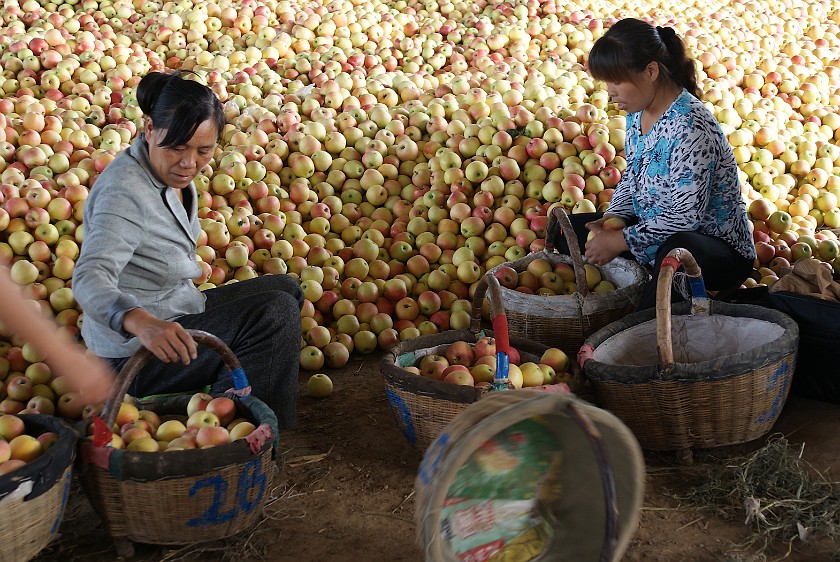 Liquan Yuan Village. Apple Vendors. Liquan Yuan. .
