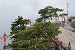 XIA158
