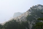 XIA173