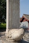 XIA195