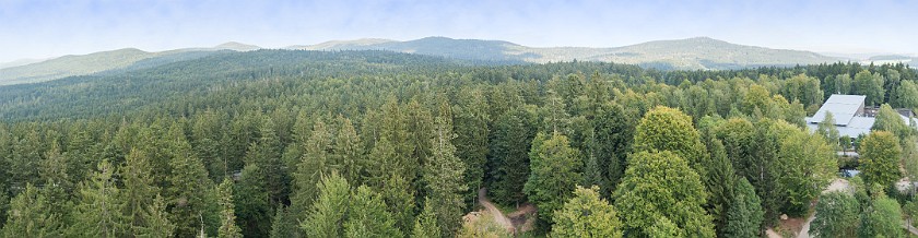 Tree Top Walk at the National Park Center Lusen. Panoramic view on the Bavarian Forest from the top of the dome. near Neuschönau. .