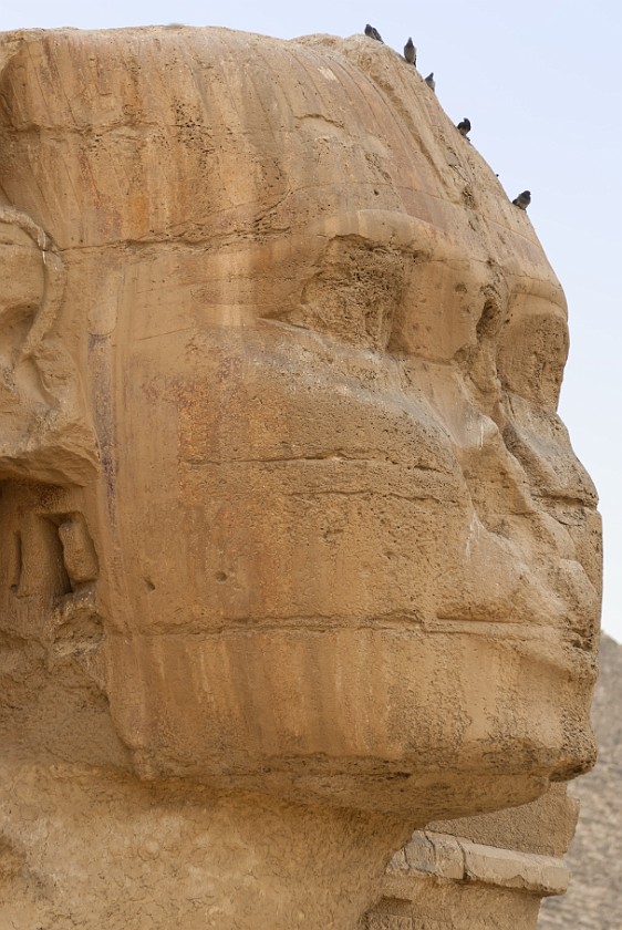 Pyramids of Giza. Sphinx's face. Cairo. .