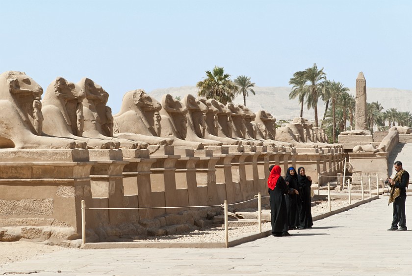 Karnak Temple of Amun. Avenue of ram-headed sphinxes. Karnak. .