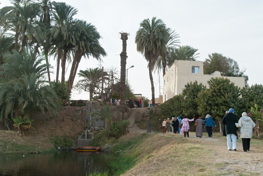 Banana Island. Path to the plantation. Luxor. .