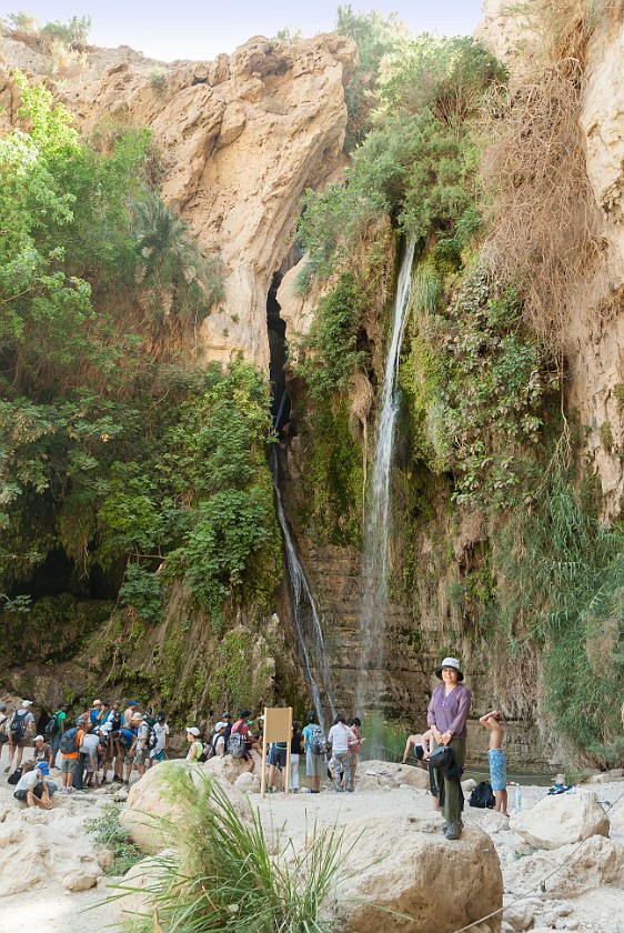 Ein Gedi Nature Reserve. David's Waterfall. Kibbutz Ein Gedi. .