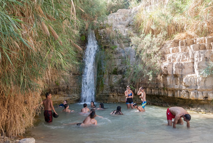 Ein Gedi Nature Reserve. Pool. Kibbutz Ein Gedi. .