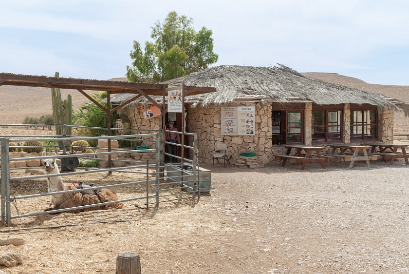 Alpaca Farm. Guest house. Mitzpe Ramon. .