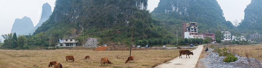 Bicycle Tour Along the Yùlóng Hé River. Shenqiyan scenic area. Yángshuò. .