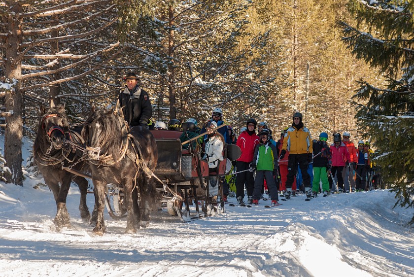 Lagazuoi, Second Day. Skiiers drawn by horses. Cortina D'Ampezzo. .