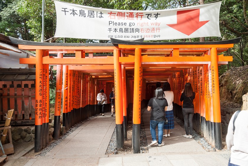 Fushimi Inari-Taisha. Pathway lined with torii. Kyoto. .