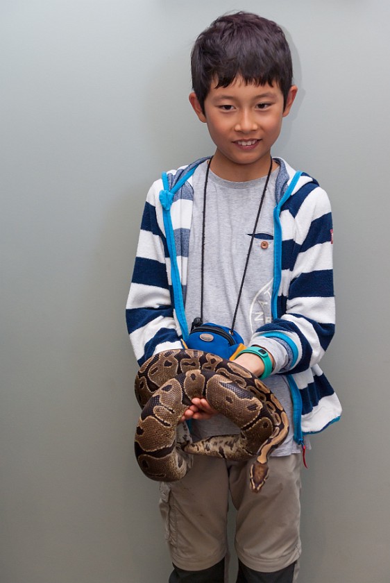 Bjørneparken. Portrait with snake. Flå. .