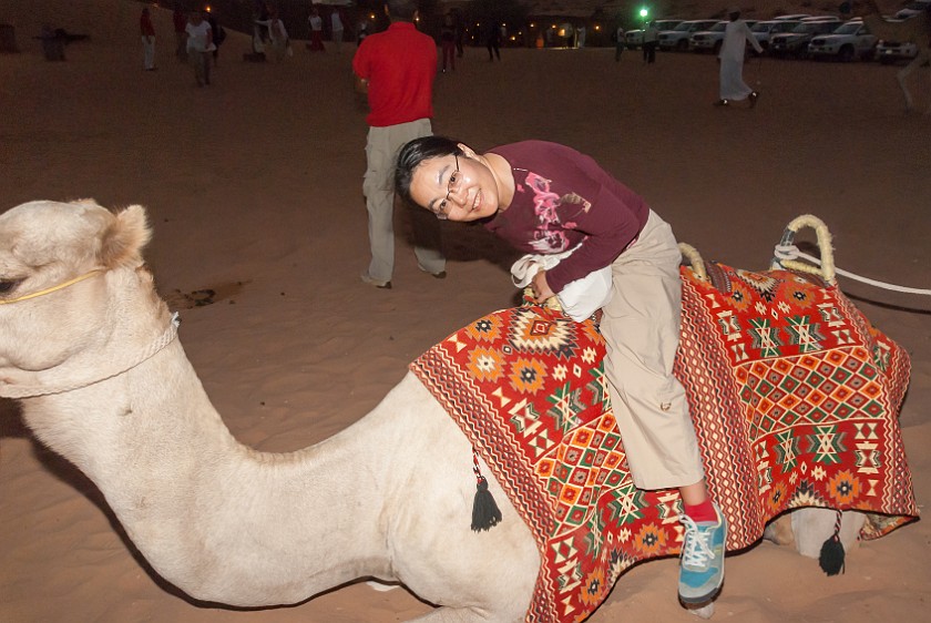 Dubai Desert Safari. Camel ride. Dubai. .