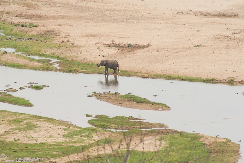 Kruger National Park. View on Olifants river from the bungalow. Olifants Rest Camp. .