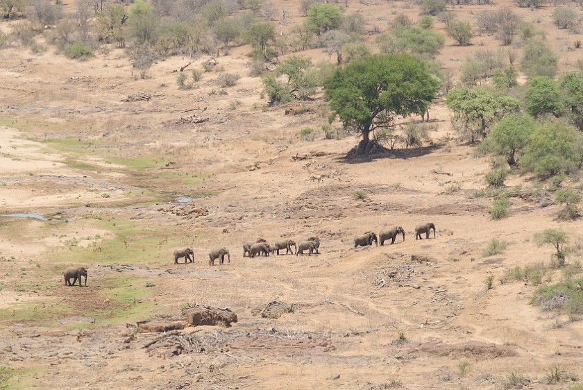 Kruger National Park. View on Olifants river from the bungalow. Olifants Rest Camp. .