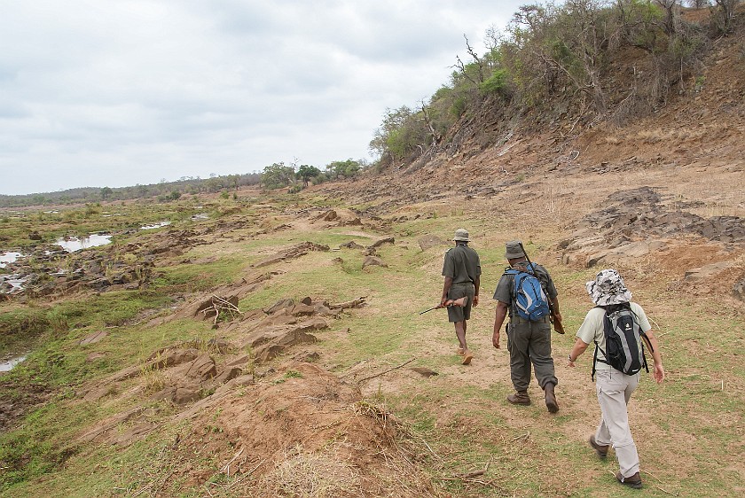 Kruger National Park. Walk at the Olifants river. Olifants Rest Camp. .