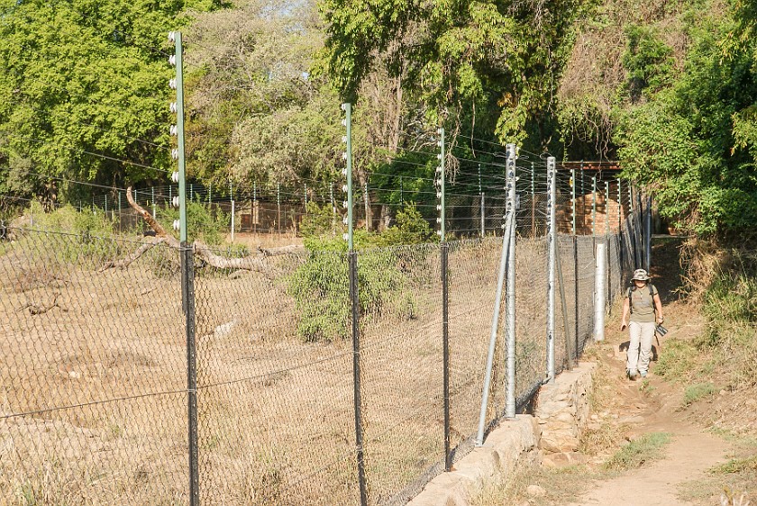 Kruger National Park. Camp fence. Berg-en-Dal Rest Camp. .