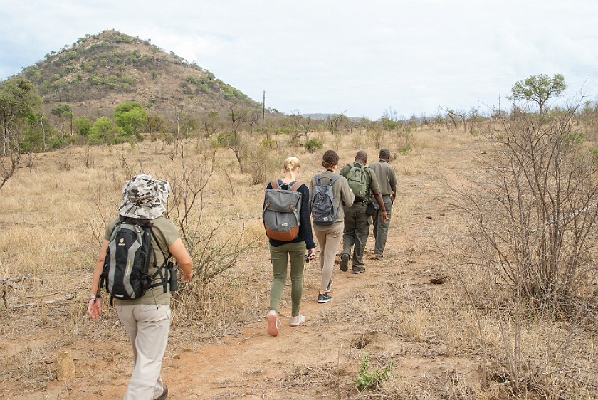 Kruger National Park. Bush walk. Berg-en-Dal Rest Camp. .