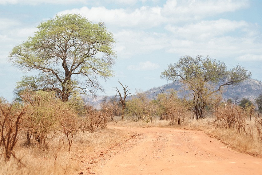 Kruger National Park. Bush road. Berg-en-Dal Rest Camp. .