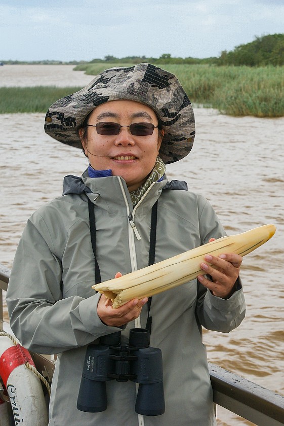 St. Lucia Estuary Boat Tour. Portrait with hippopotamus tooth. St. Lucia. .