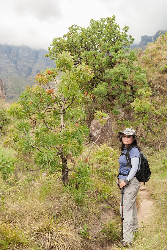 Royal Natal National Park. Hiking the Thukela Gorge. Bergville. .