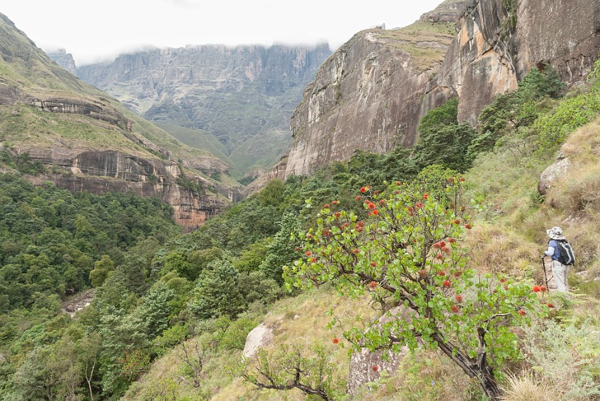 Royal Natal National Park. Hiking the Thukela Gorge. Bergville. .