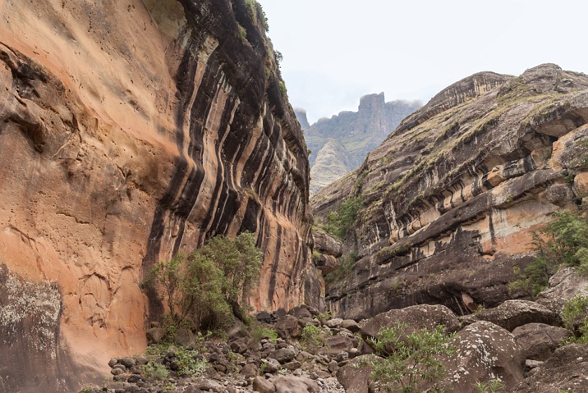 Royal Natal National Park. Thukela Gorge. Bergville. .