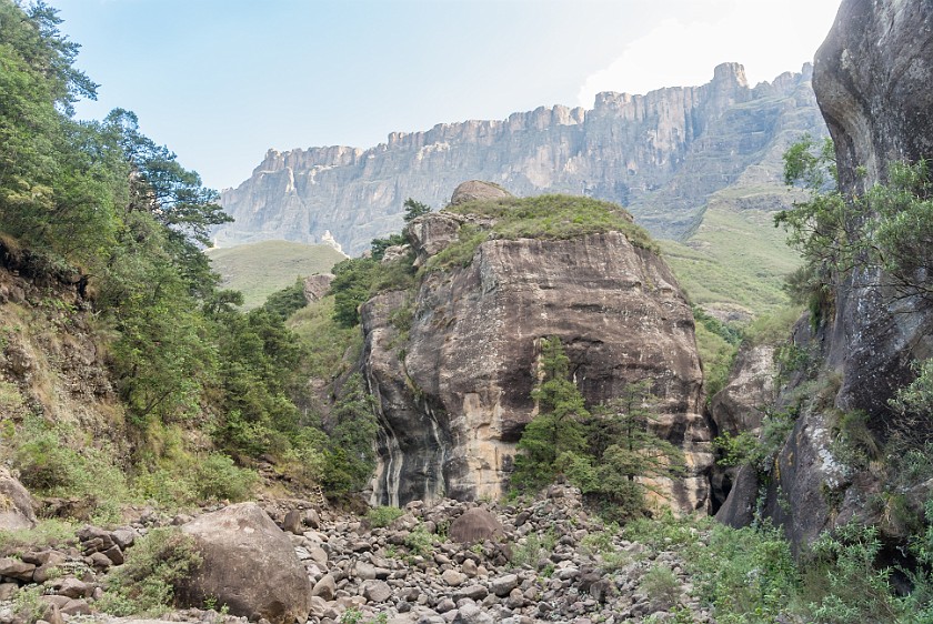 Royal Natal National Park. Thukela Gorge. Bergville. .