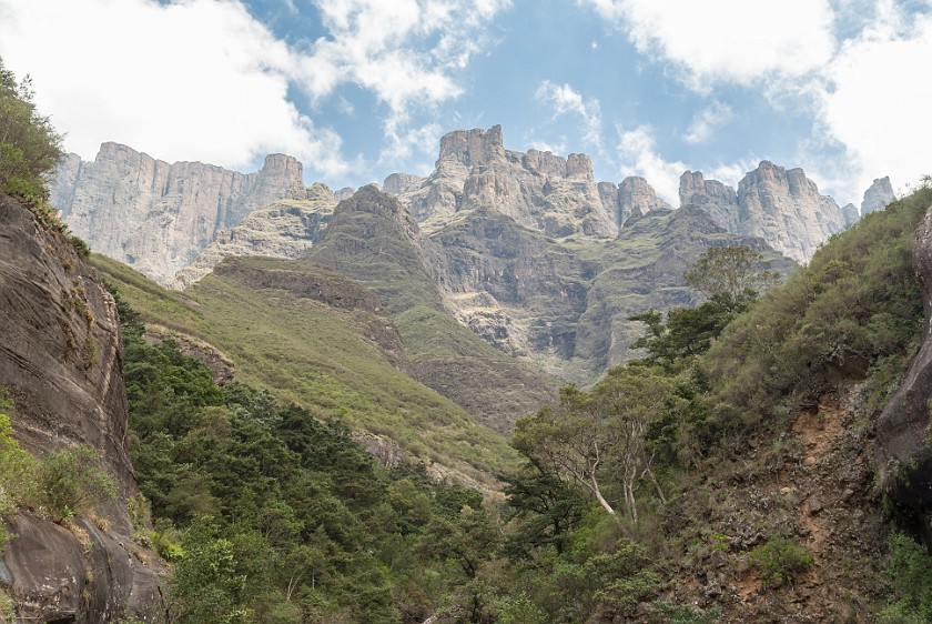 Royal Natal National Park. View up to the Ampitheatre. Bergville. .