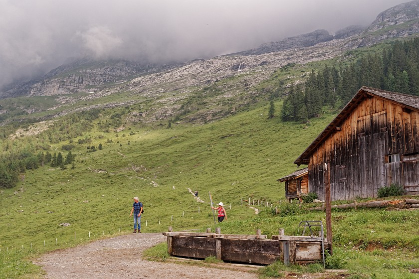 Eiger Trail . Meadows near Alpiglen. near Grindelwald. .