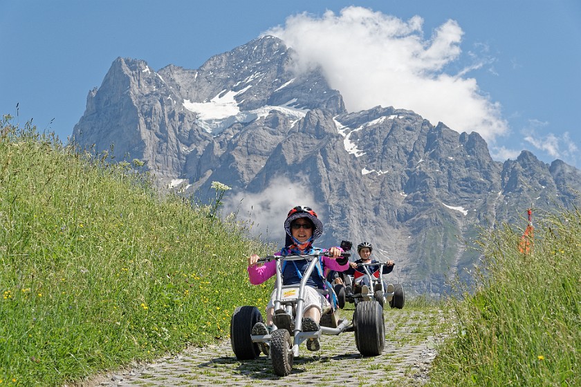 Grindelwald–First. Mountain cart driving. near Grindelwald. .