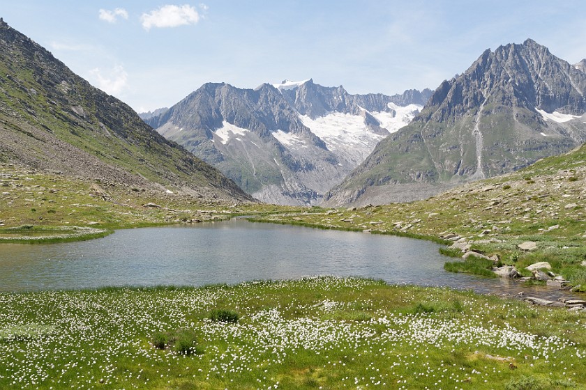 Aletsch Glacier. Märjelensee. Grengiols. .