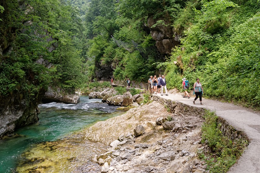 Vintgar Gorge. River and hiking path. near Bled. .