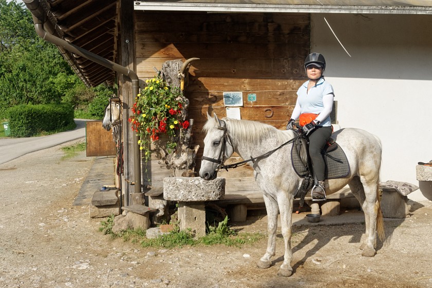 Farm Pr' Kolenc. Portrait on horse. Zgornje Gorje. .