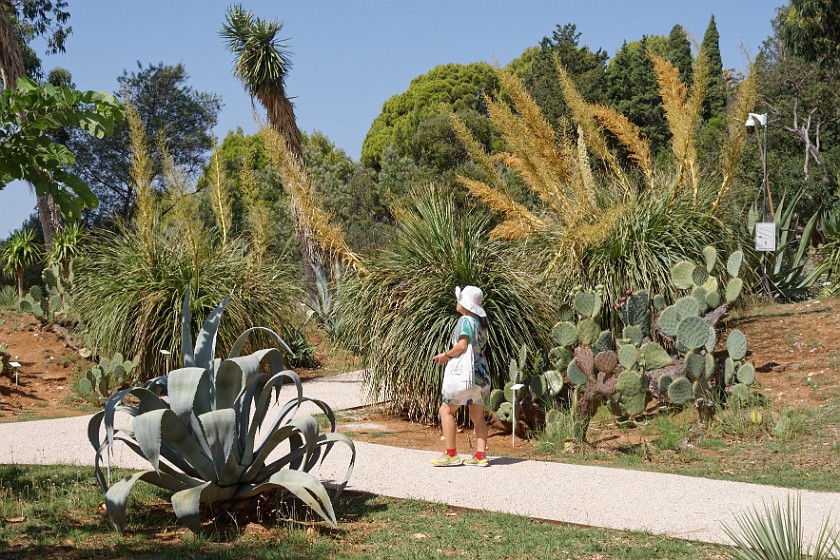 Lokrum Island. Botanical gardens. near Dubrovnik. .