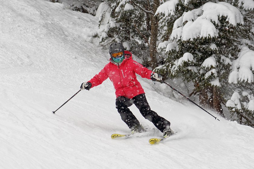 Skiing in the Gstaad, Saanen and Rougemont Area. Skiing. near Rougemont. .