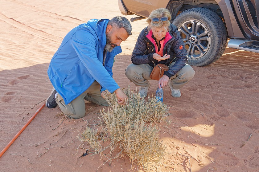 Wadi Rum. Soap making. Wadi Rum. .