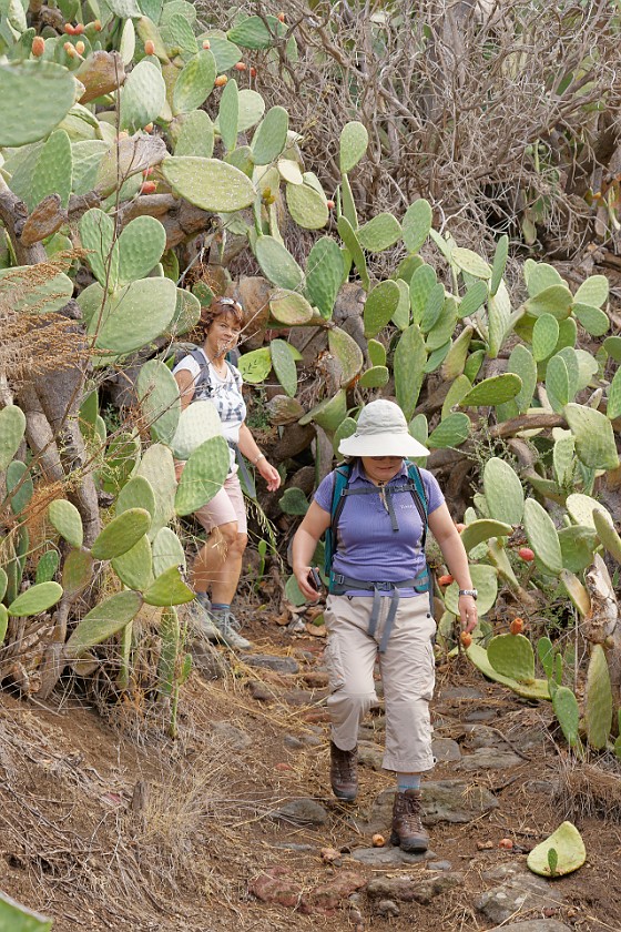 Hiking on Lipari. Hiking. Lipari. .