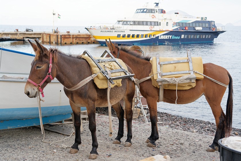 Hiking on Alicudi. Mules. Alicudi. .