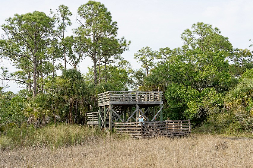 CREW Marsh Trails. Observation tower. near Immokalee. .