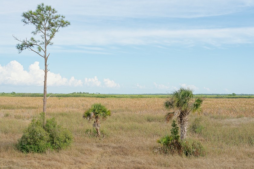 CREW Marsh Trails. Marsh. near Immokalee. .