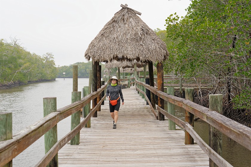 Everglades City. Everglades City boardwalk. Everglades City. .