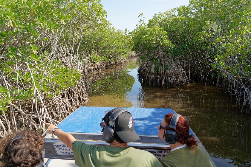 Airboat Tour & Zoo. Airboat ride through mangroves. near Everglades City. .