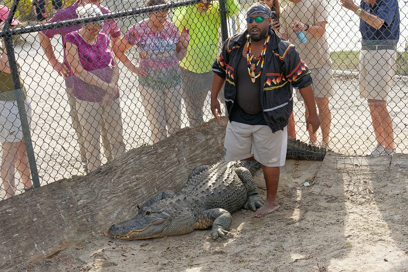 Airboat Tour & Zoo. Alligator show. near Everglades City. .