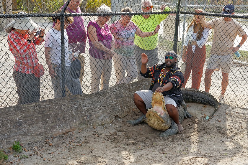 Airboat Tour & Zoo. Alligator show. near Everglades City. .
