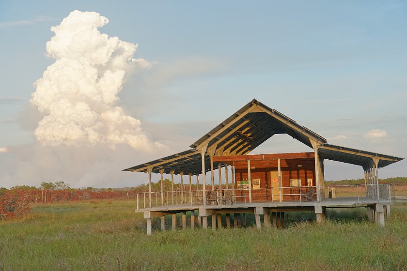 Big Cypress Bend Boardwalk. Platform and wildfire cloud of smoke. near Everglades City. .