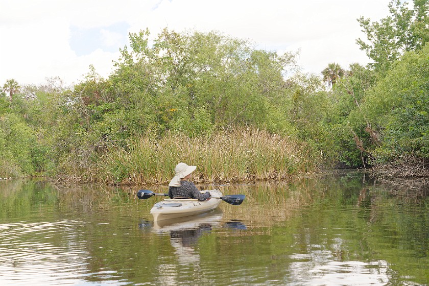 Kayak Tour on the Turner River. Kayaking. near Everglades City. .
