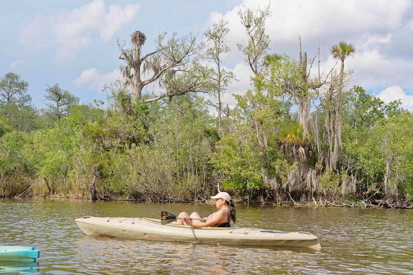 Kayak Tour on the Turner River. Kayaking. near Everglades City. .
