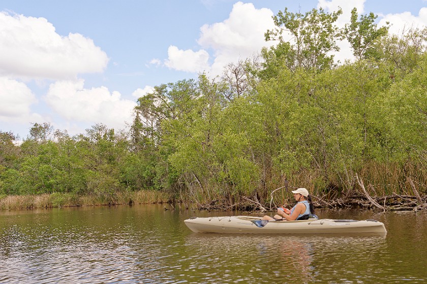 Kayak Tour on the Turner River. Kayaking. near Everglades City. .