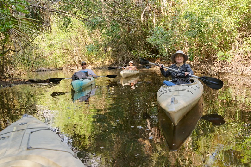 Kayak Tour on the Turner River. Kayaking. near Everglades City. .